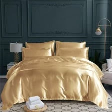 Ensemble DREAM La Nuit est Belle